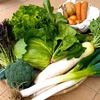 久松農園の野菜セット