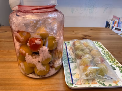 みんなの投稿の画像