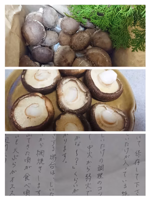 みんなの投稿の画像