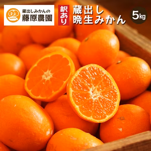 蔵出しみかん晩生｜和歌山県海南市下津町の特産品を産地直送でお届け