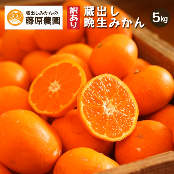 蔵出しみかん晩生｜和歌山県海南市下津町の特産品を産地直送でお届け