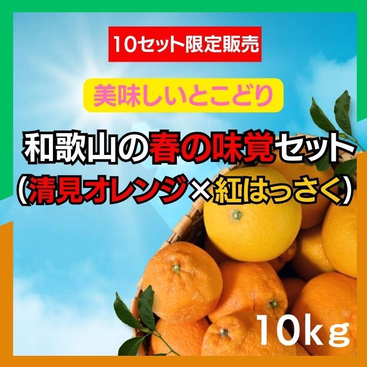 和歌山 清見オレンジ お得な 10kg - 果物