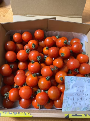 みんなの投稿の画像