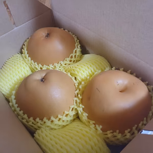 限定2 R7BNi2 【自家用】新高梨　２Ｋｇ　(３玉)