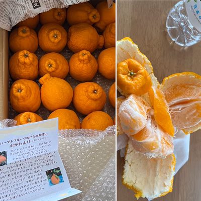 みんなの投稿の画像