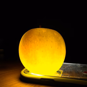 蜜がたっぷりこうとく＆幻の黄金のサンふじ食べ比べお試しセット