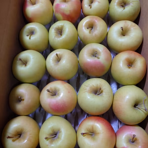 ☆化学農薬不使用りんご☆一日一個食べたい方へ/超小玉りんご（黄色い品種）