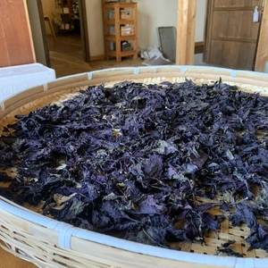 奥出雲産自然栽培赤しそ茶(20g×2袋)