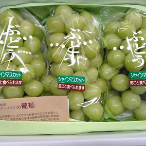 ☆シャインマスカット3房入り 山梨南アルプス市より