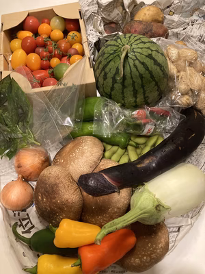 みんなの投稿の画像