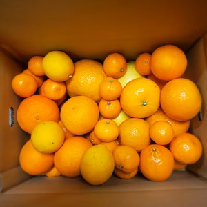 季節の便り二宮果樹園旬だより　約5㌔