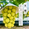 【贈り物に】8月発送！白の極み – 贅沢な白ぶどう食べ比べ3種