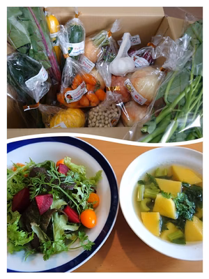 みんなの投稿の画像