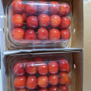 さくらんぼ紅秀峰3L600g