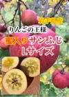 【蜜入り保証】サンふじ 完熟りんご Lサイズ