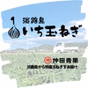 【野菜ソムリエサミット金賞】淡路島玉ねぎ5kg