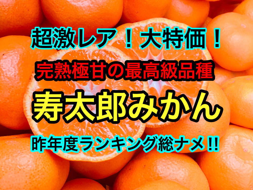 温州みかんの王様 5kg 訳あり寿太郎みかん 農家漁師から産地直送の通販 ポケットマルシェ