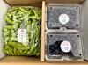 ＜限定5セット＞農薬・化学肥料不使用　京都夏黒豆えだ豆＆ブルーベリーセット販売