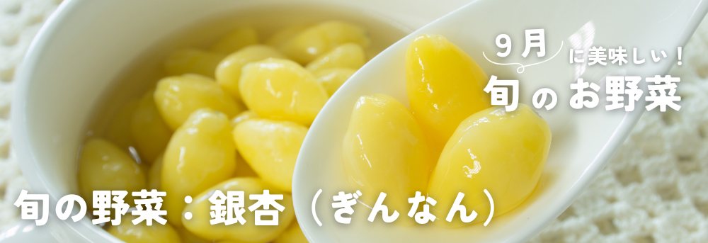 ９月に旬の野菜 銀杏（ぎんなん）