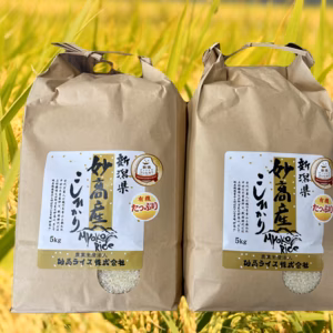 【ご要望多数！5kg×２販売開始】令和6年　妙高産コシヒカリ5kg×2