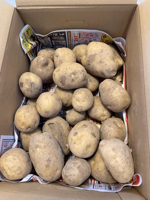 みんなの投稿の画像