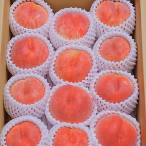 秋田県横手市産あかつきご家庭用　伝票来たらすぐ発送