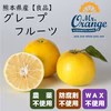 【農薬不使用・良品】希少！国産グレープフルーツ（ホワイト種）