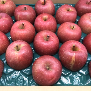 【人気商品】青森県産りんご「サンふじ」家庭用 きずあり 10kg 