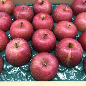 【人気商品】青森県産りんご「サンふじ」家庭用 きずあり 10kg 