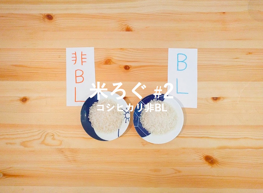 新潟県新発田市産コシヒカリBL 令和6年産 新潟県特別栽培米 新潟コシヒカリBL 精米 | 【えちご