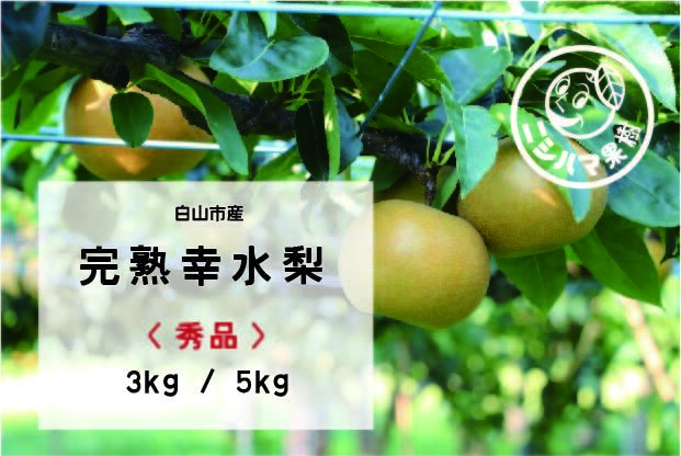 幸水の産直通販・お取り寄せ商品｜ポケットマルシェ｜産地直送で旬の