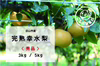 白山市産 完熟幸水梨 【秀品（贈答用）】