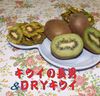 【山梨産】キウイの長男 ＆ DRYキウイ　セット
