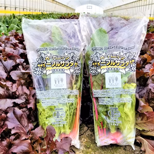 植物性で育てた葉野菜ブランド　有機JASちょこっとサラダセット