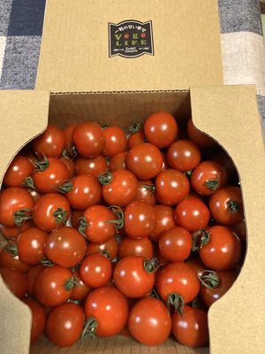 みんなの投稿の画像