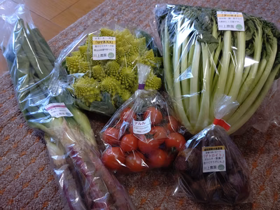 みんなの投稿の画像