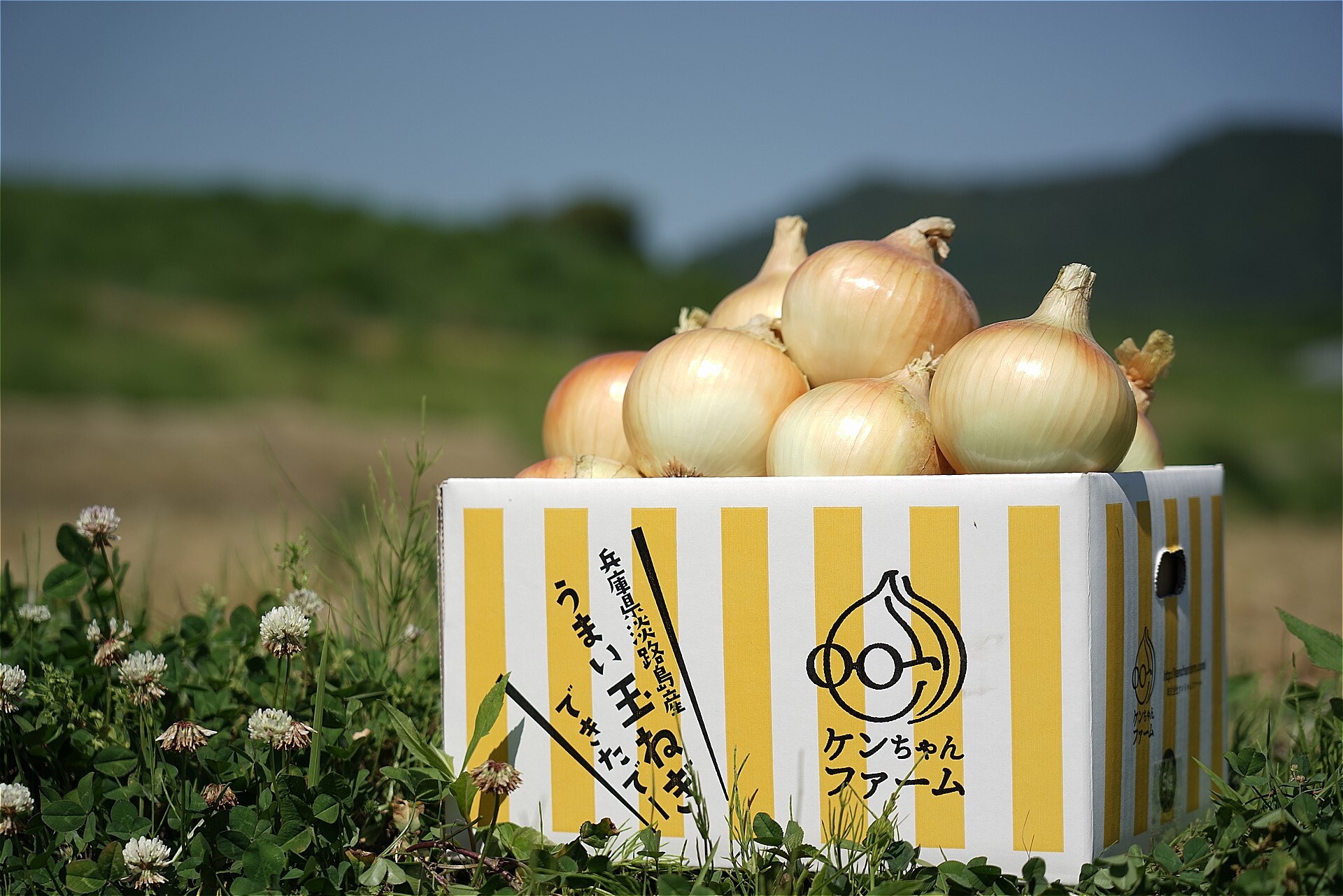 淡路島たまねぎ3kg〜 ひょうご安心ブランド認証 淡路島たまねぎ 3kg