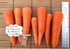 小さめ間引きにんじん【1kg】 使いきりサイズでとっても便利！