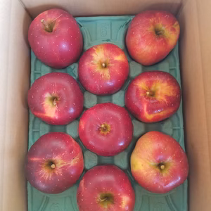 長野県産 赤肉りんご 「炎舞」えんぶ 家庭用 3㎏