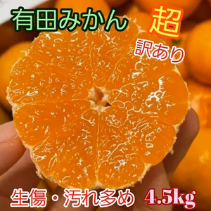 有田みかん『超 訳あり』5kg【傷み保証込】（箱込)