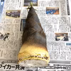 天然・孟宗筍・孟宗竹のタケノコ・たけのこ・竹の子 - 山形県酒田市八幡地域大沢産