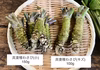【リクエスト商品】生わさび100g＋150gと茎わさび３束と加工品２個セット