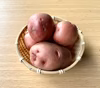 【洗い済】ホクホク紅色じゃがいも「アンデスレッド」