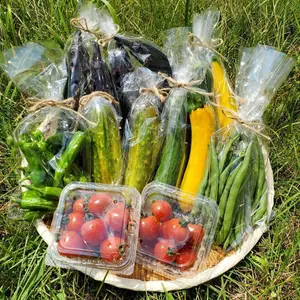 【有機JAS認証】採れたてそのまま！自然栽培夏野菜セット10袋60サイズ