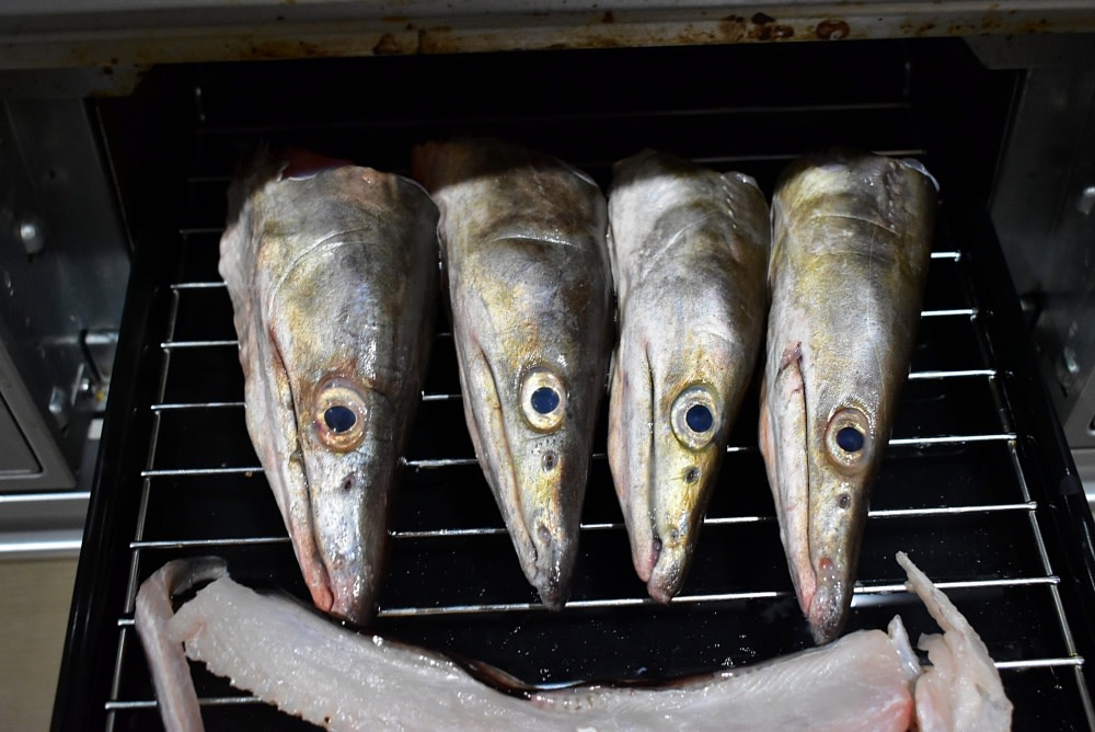 家庭でハモを捌いて5つの料理で堪能したよ 鳥取漁師のハモは伊達じゃなかった 農家漁師から産地直送の通販 ポケットマルシェ