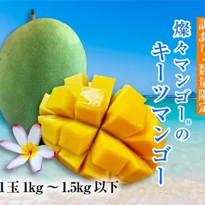 【訳あり】燦々キーツマンゴー（沖縄県産）1玉（1kg～1.5kg以下）