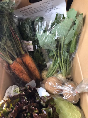 みんなの投稿の画像