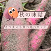 秋の味覚！さつまいも食べ比べセット