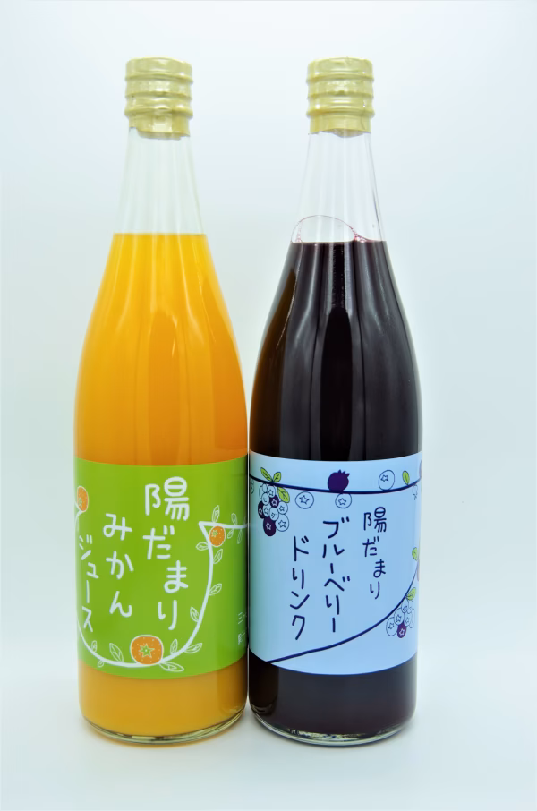 みかんジュース ＋ブルーベリードリンク 720ml セット
