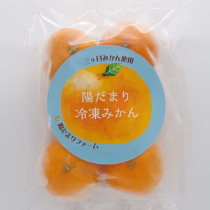 三ヶ日みかん 小玉 冷凍みかん １袋５個入り 国産 デザート シャーベット
